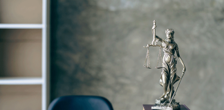 Intellectual Property Lawyer