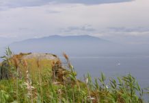 Beautiful Coast