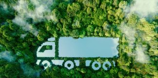 Green truck in the forest