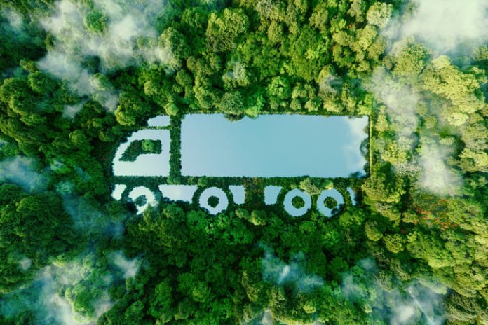 Green truck in the forest