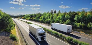 INSECT BIOMASS FOR FUELS IN THE TRANSPORT SECTOR