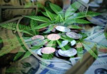 cannabis with coins