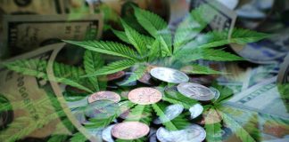 cannabis with coins