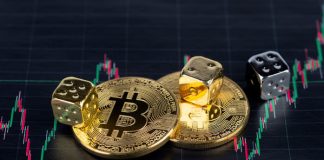 Future of Crypto Gambling: All You Need To Know Bitcoin