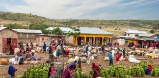 Food Dumping, Rising Food Insecurity and Hunger