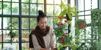 Indoor garden