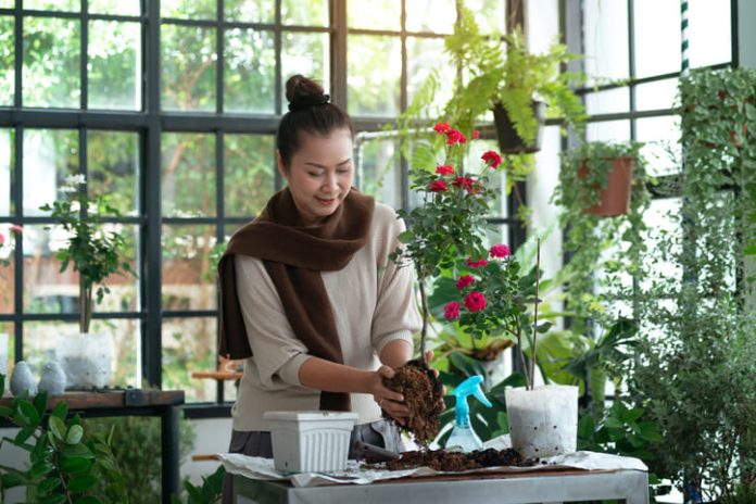 Indoor garden