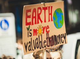 How Sustainable Supply Chains Can Enhance Your Brand Image Earth is more valuable than money signage