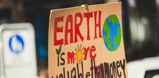 Earth is more valuable than money signage