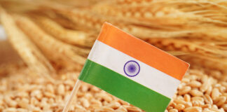 Agriculture in India