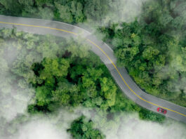 Aerial top view of a red car driving on highway road in green forest. Sustainable transport.