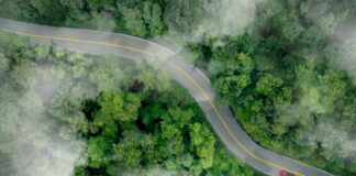 Aerial top view of a red car driving on highway road in green forest. Sustainable transport.