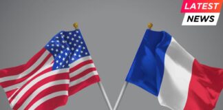 3D illustration of Two Crossed Flags of USA and France