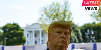 Donald Trump (impersonator) at the White House, Washington DC.