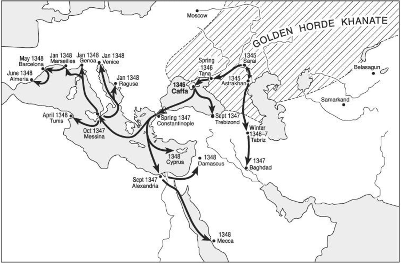 Estimated chronology of the initial spread of plague in the mid-fourteenth century (1)
