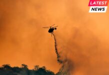 Los Angeles wildfires devastate