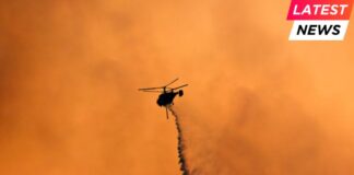 Los Angeles wildfires devastate