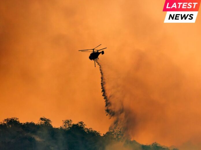 Los Angeles wildfires devastate