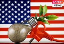 Plug, plant growing inside the light bulb and United States Flag