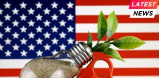 Plug, plant growing inside the light bulb and United States Flag