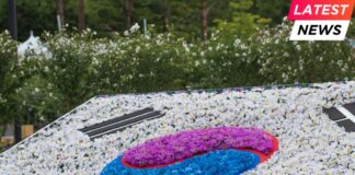 South Korea Mourns Victims of Air Disaster