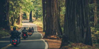 Motorcycle Group Touring Through the Scenic Redwood Highway in Northern California