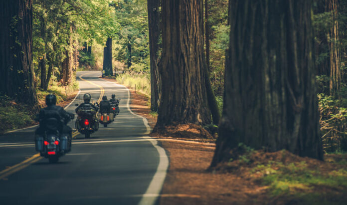 iStock-1404254643 (1) Motorcycle Group Touring Through the Scenic Redwood Highway in Northern California