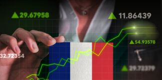 Foreign Investment Control in France