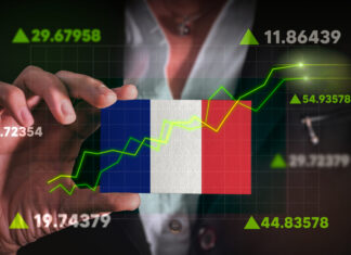 Foreign Investment Control in France