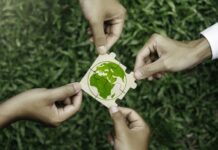 group of volunteers help solve environmental problems. global teamwork and business.