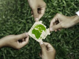 group of volunteers help solve environmental problems. global teamwork and business.