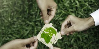 group of volunteers help solve environmental problems. global teamwork and business.
