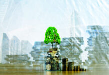 Tree growing on pile of golden coins, growth business finance investment and Corporate Social Responsibility or CSR practice and sustainable development