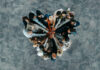A diverse business group standing in a heart formation, symbolizing unity, teamwork, and collaboration.