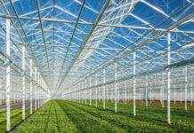 greenhouse farming