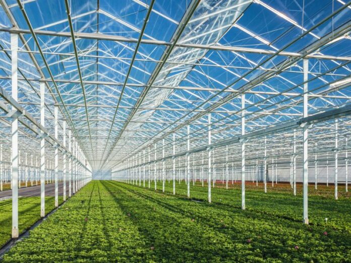 greenhouse farming