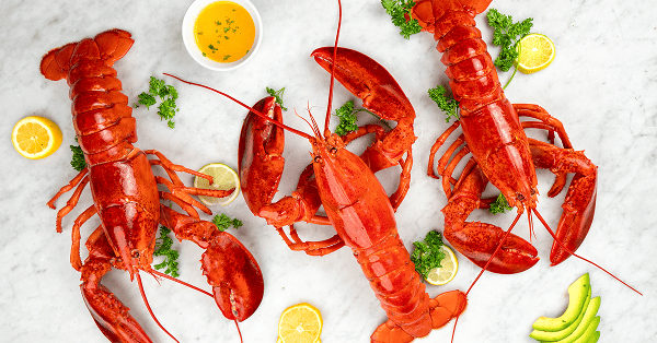 Lobster