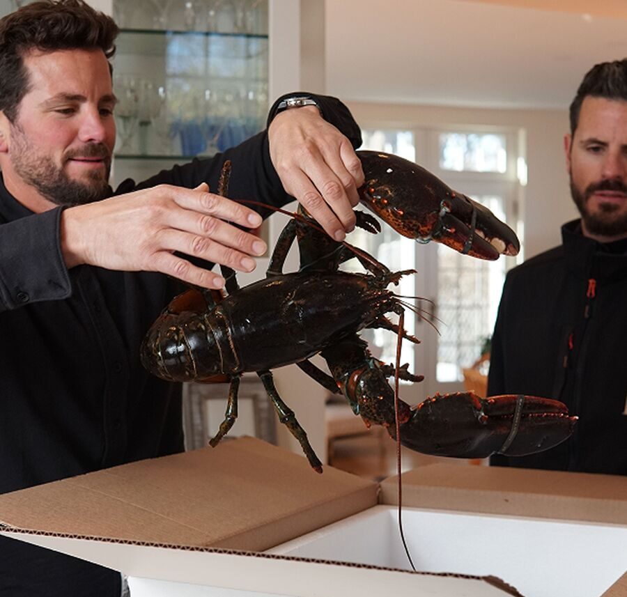 Lobster Boys