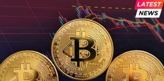 cryptocurrency to drive political fundraising
