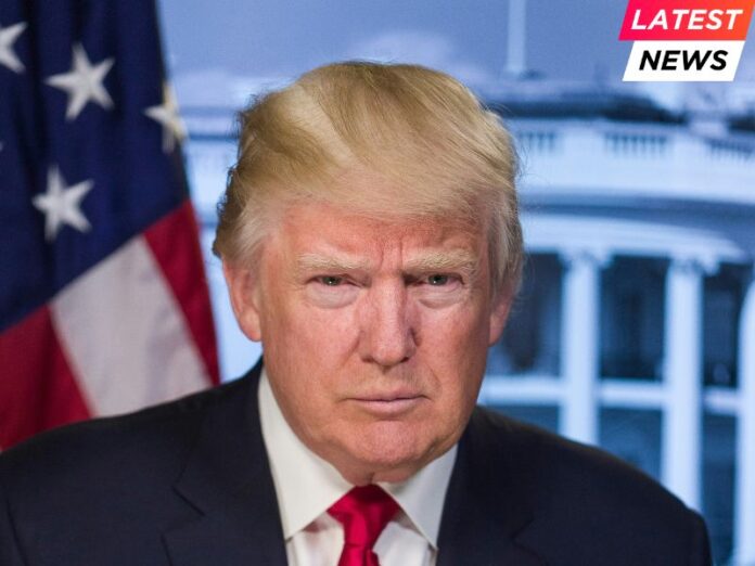 Portrait of President-elect Donald Trump