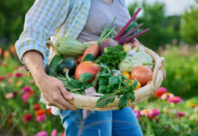 Essential Tips For Keeping Your Produce Fresh This Harvest Season
