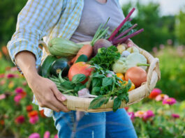 Essential Tips For Keeping Your Produce Fresh This Harvest Season
