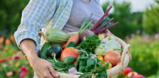 Essential Tips For Keeping Your Produce Fresh This Harvest Season