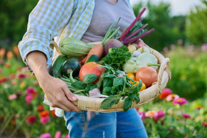 iStock-1413039015 (1) Essential Tips For Keeping Your Produce Fresh This Harvest Season