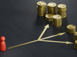 Small Investors Portfolios: Smart Strategies for Different Life Stages in an Unstable Economy Investment decision making or porfolio diversification.