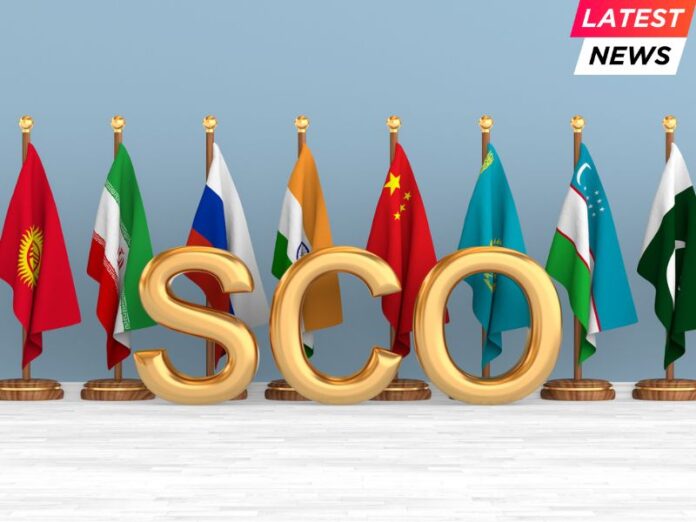 SCO summit