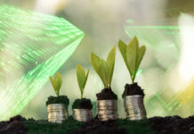 sustainable investment