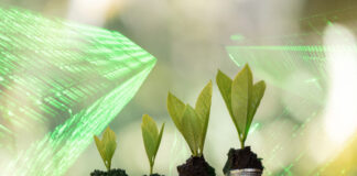 sustainable investment