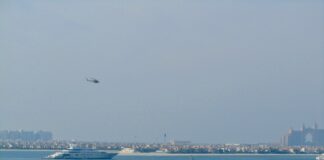 DDP Shipping for UAE Imports