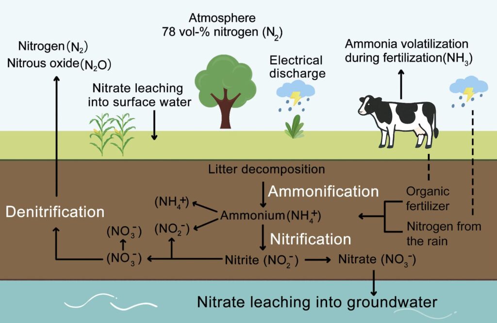 AI-Supported Monitoring and Reduction of Nitrous Oxide Emissions in ...